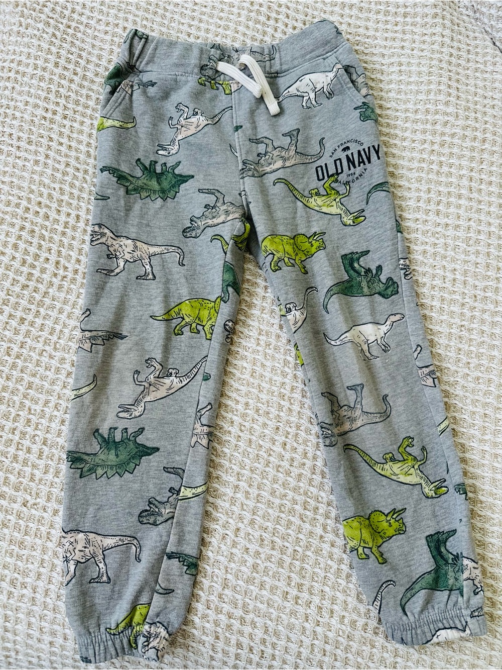 Old Navy Gray Dinosaur Kids Pants - Green & White Dino Print